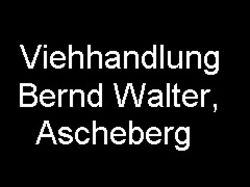 Viehhandlung Bernd Walter